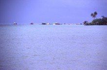 vignette D_polynesie_029 