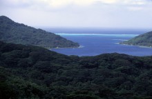 vignette D_polynesie_037 