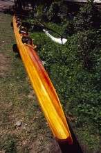 vignette D_polynesie_056 