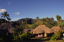vignette D_polynesie_071 