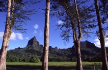 vignette D_polynesie_074 