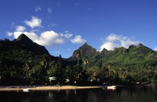 vignette D_polynesie_075 