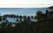 vignette D_polynesie_077 