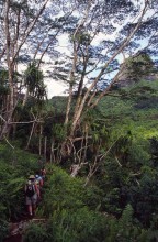 vignette D_polynesie_078 