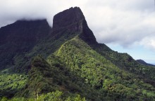 vignette D_polynesie_082 