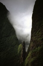 vignette D_polynesie_086 