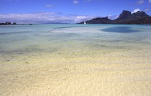 vignette D_polynesie_103 