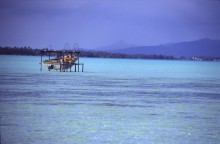 vignette D_polynesie_104 