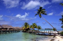vignette D_polynesie_105 