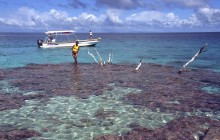 vignette D_polynesie_132 