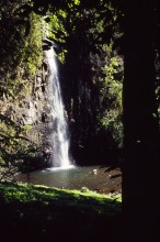 vignette D_polynesie_143 