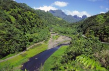 vignette D_polynesie_144 