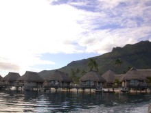 vignette plongee_moorea_002 