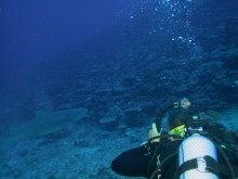 vignette plongee_moorea_050 