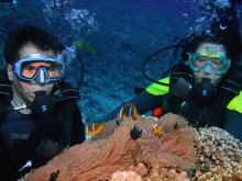 vignette plongee_moorea_067 