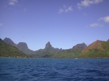 vignette plongee_moorea_107 