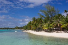 vignette polynesie_171 