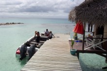 vignette polynesie_172 