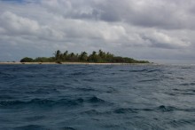 vignette polynesie_190 