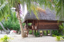 vignette polynesie_221 