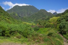 vignette polynesie_247 