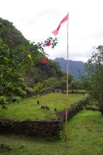 vignette polynesie_253 