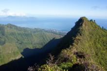 vignette polynesie_292 