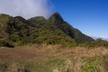 vignette polynesie_300 