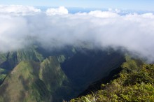 vignette polynesie_312 